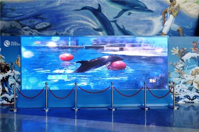 北京海洋馆室内P3高清全彩LED显示屏（安装地点：北京海洋馆）